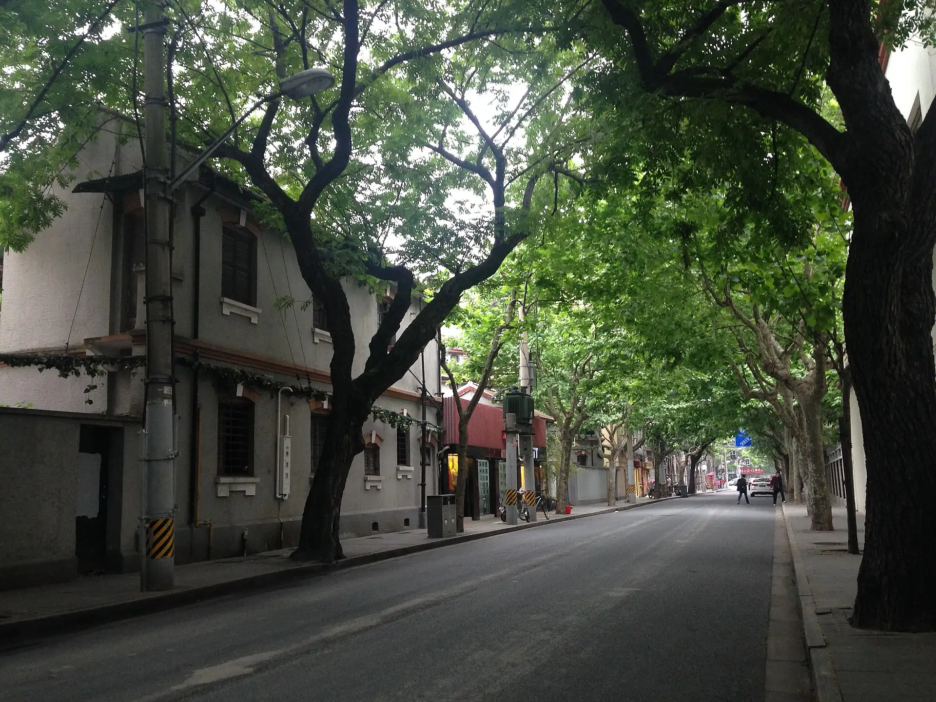 A street view of Wukang Road in Shanghai in summer.