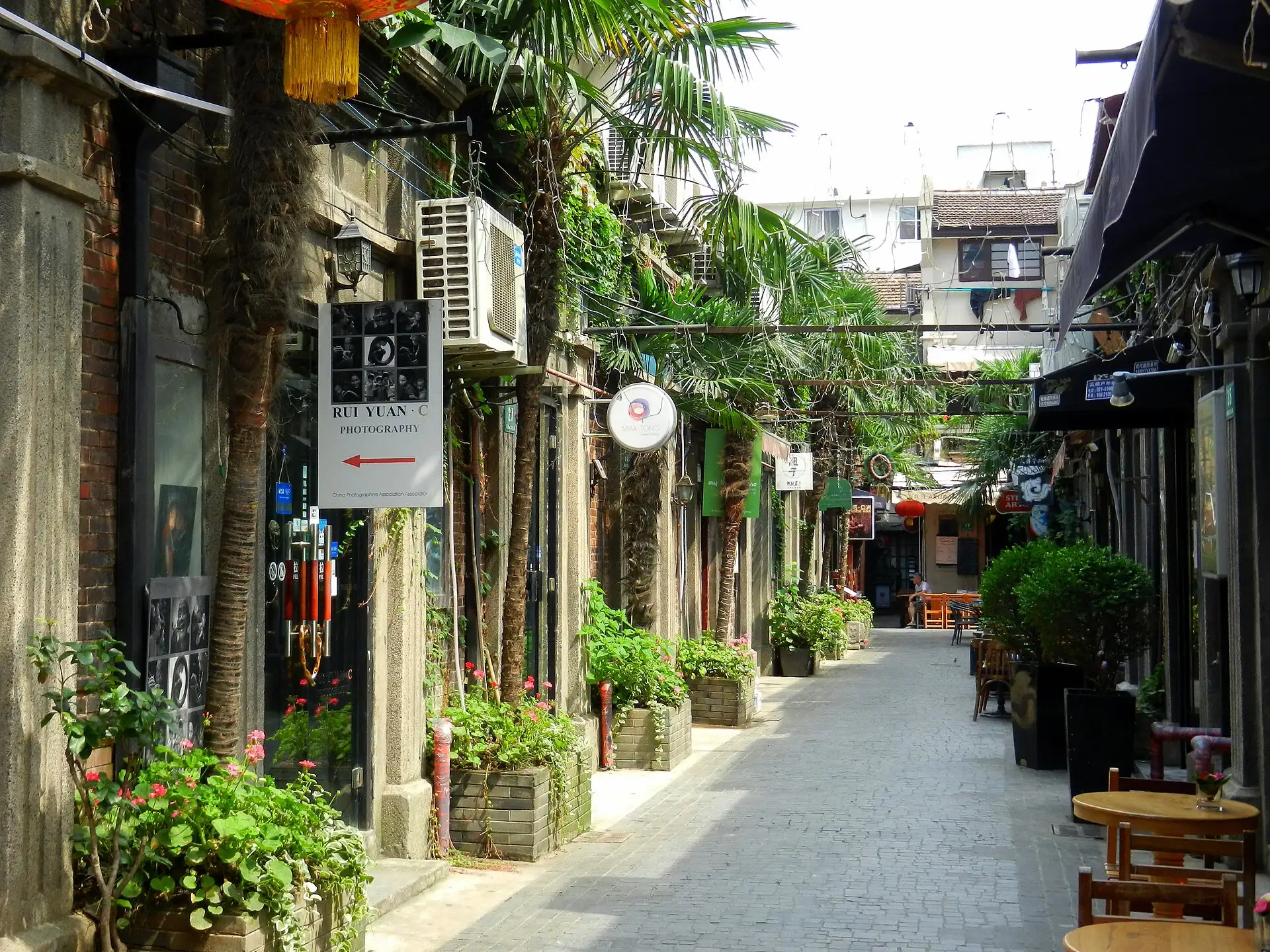 A narrow alley in Tianzifang with shopfronts, plants and signs.
