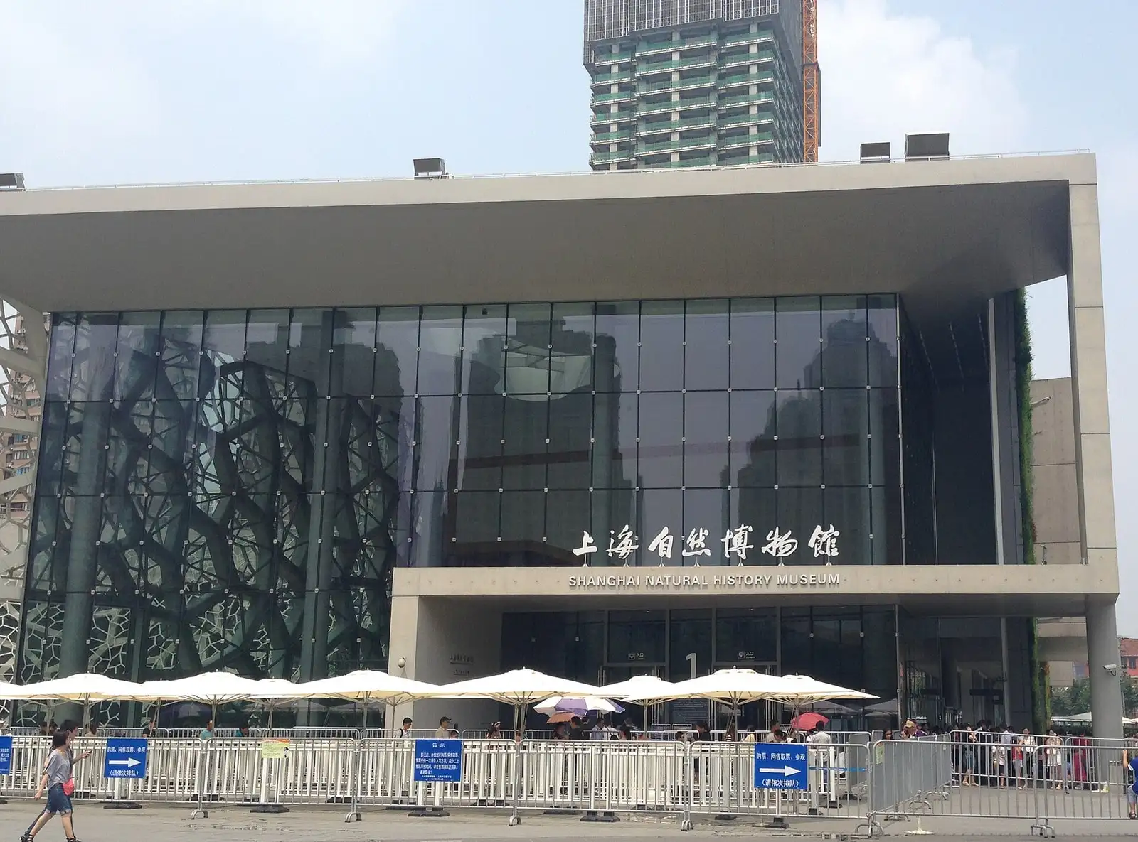 The glass entrance of Shanghai Natural History Museum, with a patterned facade and cafe umbrellas outside.